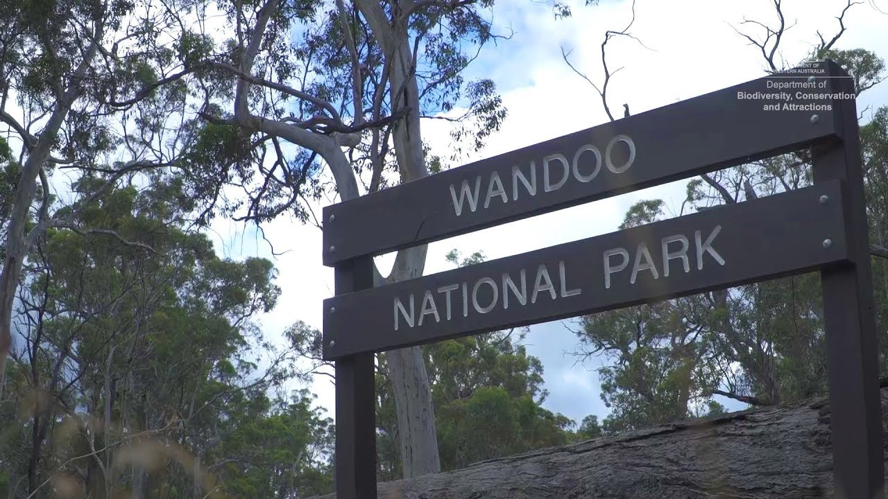 Wandoo National Park Tree Cleanup