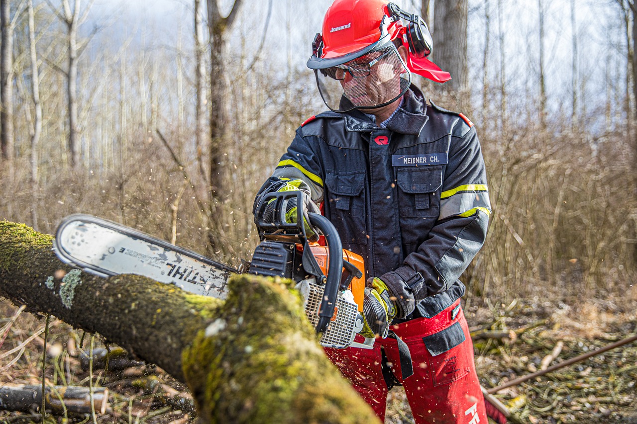 Chainsaw Training Register your Interest - ***Now Closed***