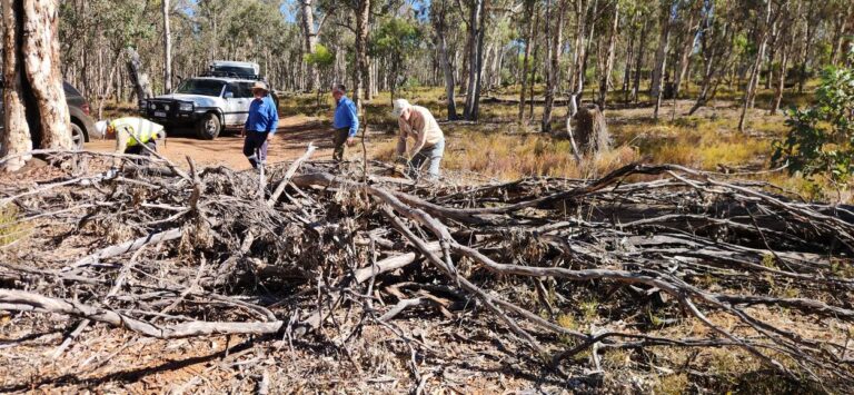 Wandoo Cleanup March 2024