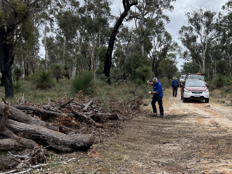 Wandoo Cleanup Report #10